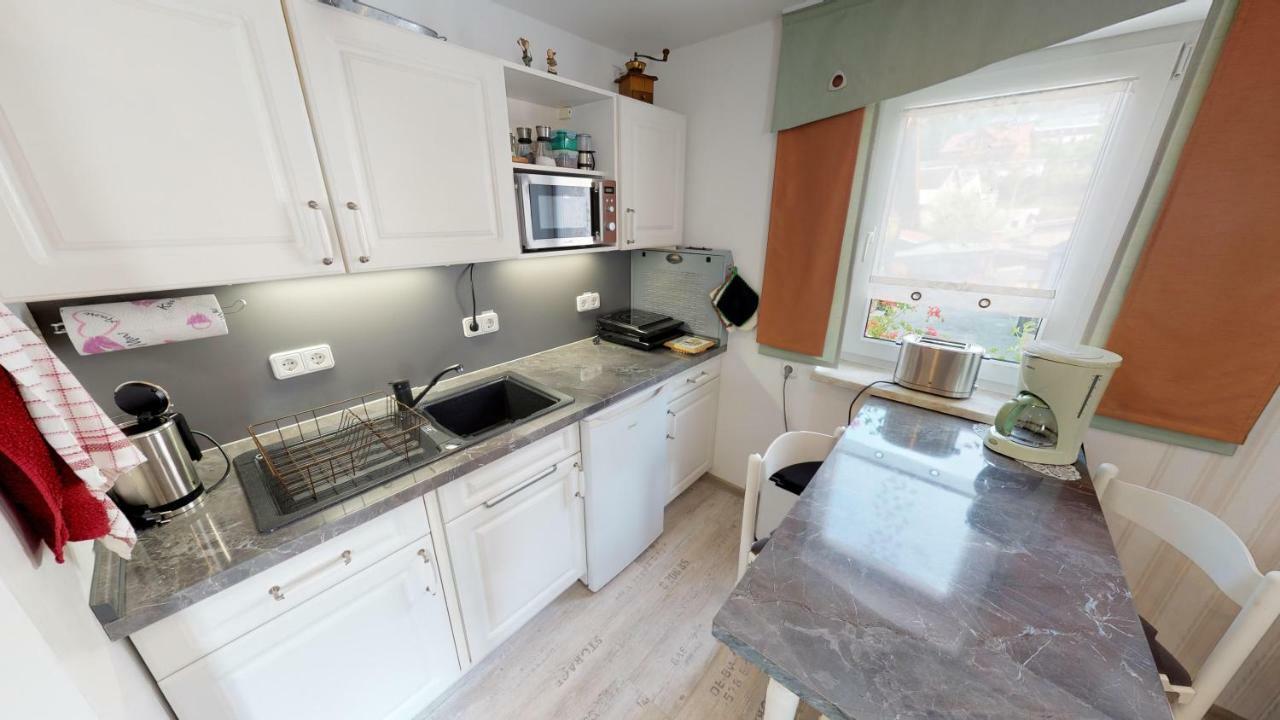 Ferienwohnung Wild Klingenthal Kültér fotó